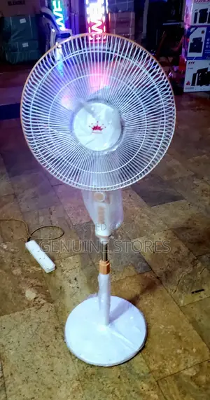 Stand Fan Prandtex