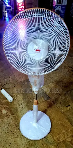 Stand Fan Prandtex