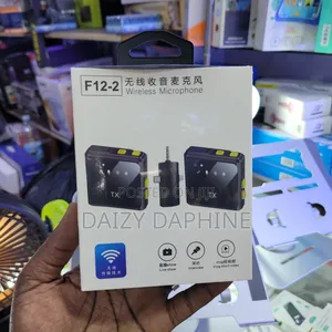 Mini Microphone/Dual Mini Wireless Mic
