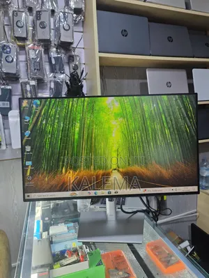 Dell Ips 24inch Monitor