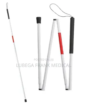 Walking Blind Sticks