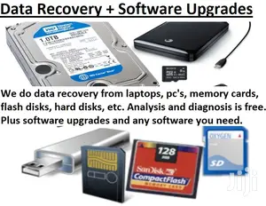 Data Recovery + Software Upgrades Services