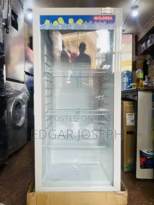 Florsa Display Freezer