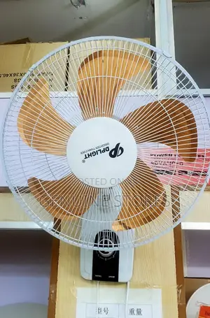 Metallic Wall Fan