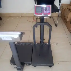 High Performance (100-180)Kg Digital Portablescales