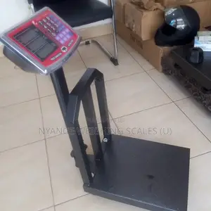 Weighing Platform Scale for Measuring Grain in Werehouse