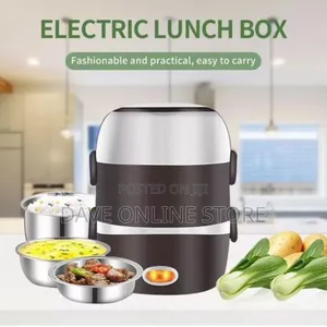 Mini Portable 2-Layer Multi-Function Electric Lunch Box