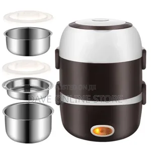 Mini Portable 2-Layer Multi-Function Electric Lunch Box
