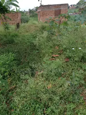 Plot for Sale