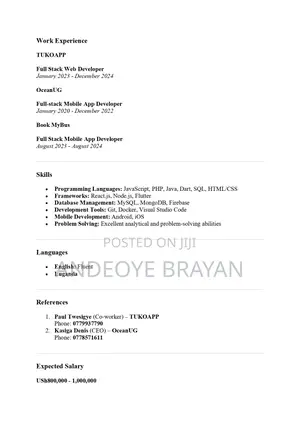 Software Engineer