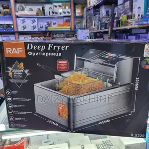5.5L Raf Electric Deep Fryer/Stainless Deep Fryer