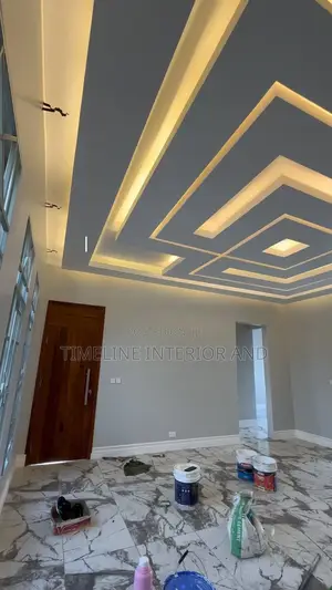 Gypsum Ceilings and Design Pro