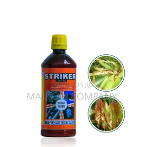 Striker for Coffee Borer