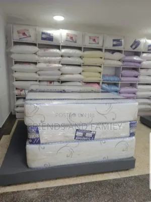 Smart Rose and Soft Pillows 6*5*8. Inches