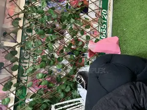 Wall Flowers and Plants Only