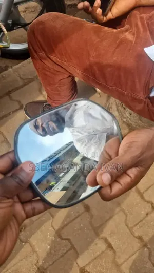 Side Mirror Plate for Raum Old Model