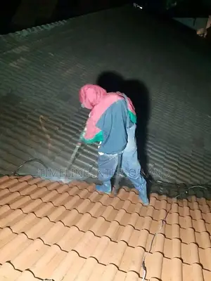 Roof Cleaning Service