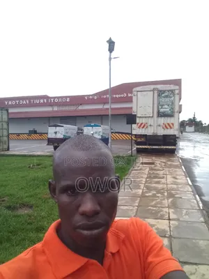 Professional Driver