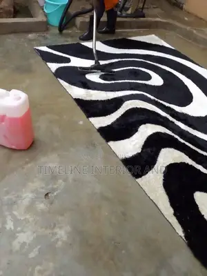 Roof and Carpet Deep Cleaning