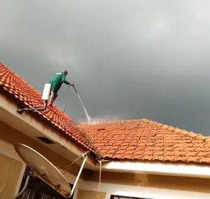 Roof and Carpet Deep Cleaning