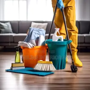 Professional Cleaning