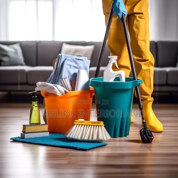 Professional Cleaning