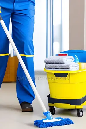 Cleaning Services Experts