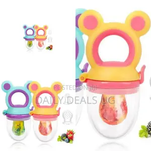 Baby Fruit Feeder