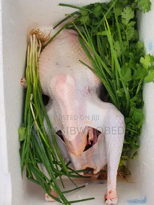 Dressed Turkey and Guinea Fowl