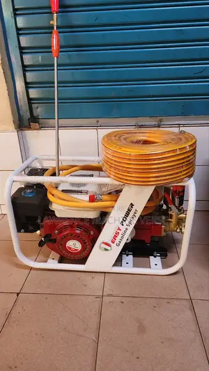 Gasoline Sprayer 4 Stroke Italy Made