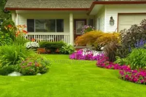 Compound Designing and Landscaping, Paving