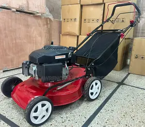 Gasoline Lawn Mower 5HP