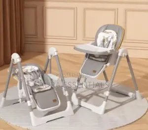 2in 1 Swing and Chair