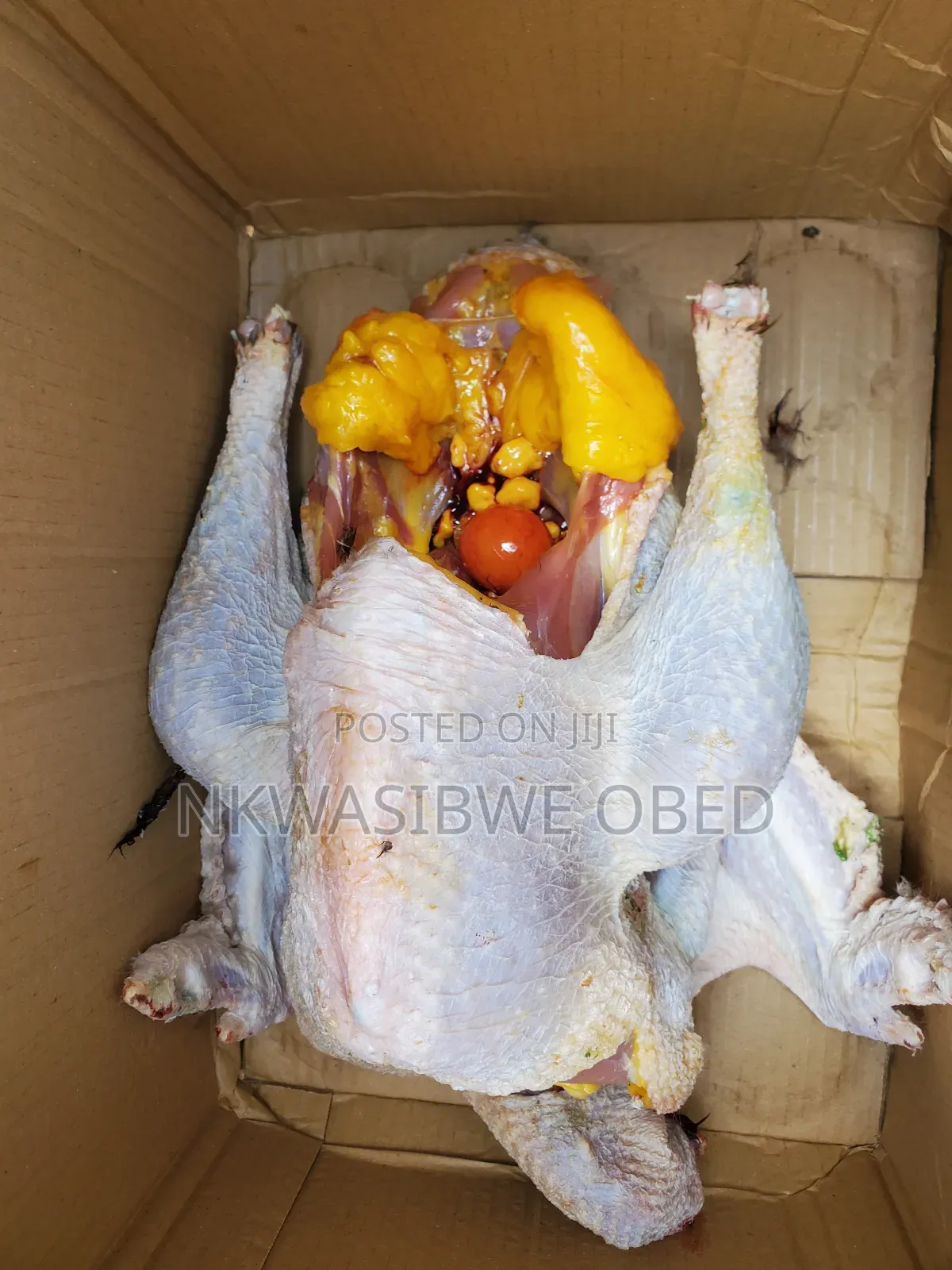 Dressed Turkey and Guinea Fowl