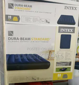 4x6 in Intex Inflatable Mattress