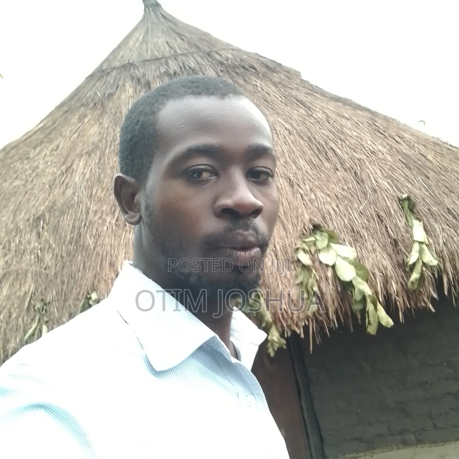 Printer Technician and Spare Saler