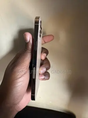 Apple iPhone 12 Pro Max 256 GB Gold