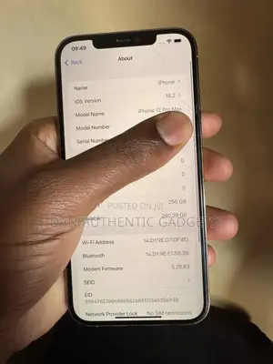 Apple iPhone 12 Pro Max 256 GB Gold