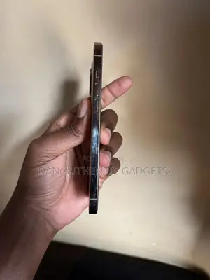 Apple iPhone 12 Pro Max 256 GB Gold