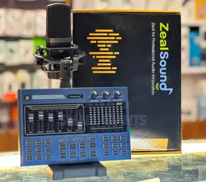 Zeal Sound-P300 Microphone