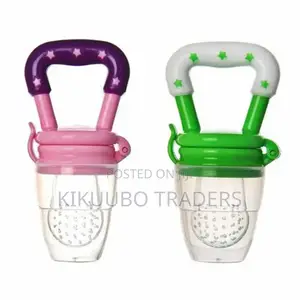 Baby Fruit Feeder Silicone Pacifier