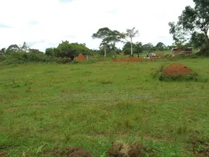 Land and Plots