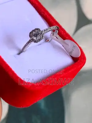 Halo Cushion Cut Engagement Ring