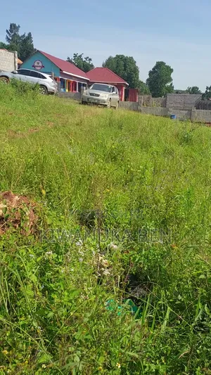 Genuine Plot of Land for Sale