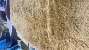 Brownish Fluffy Carpet