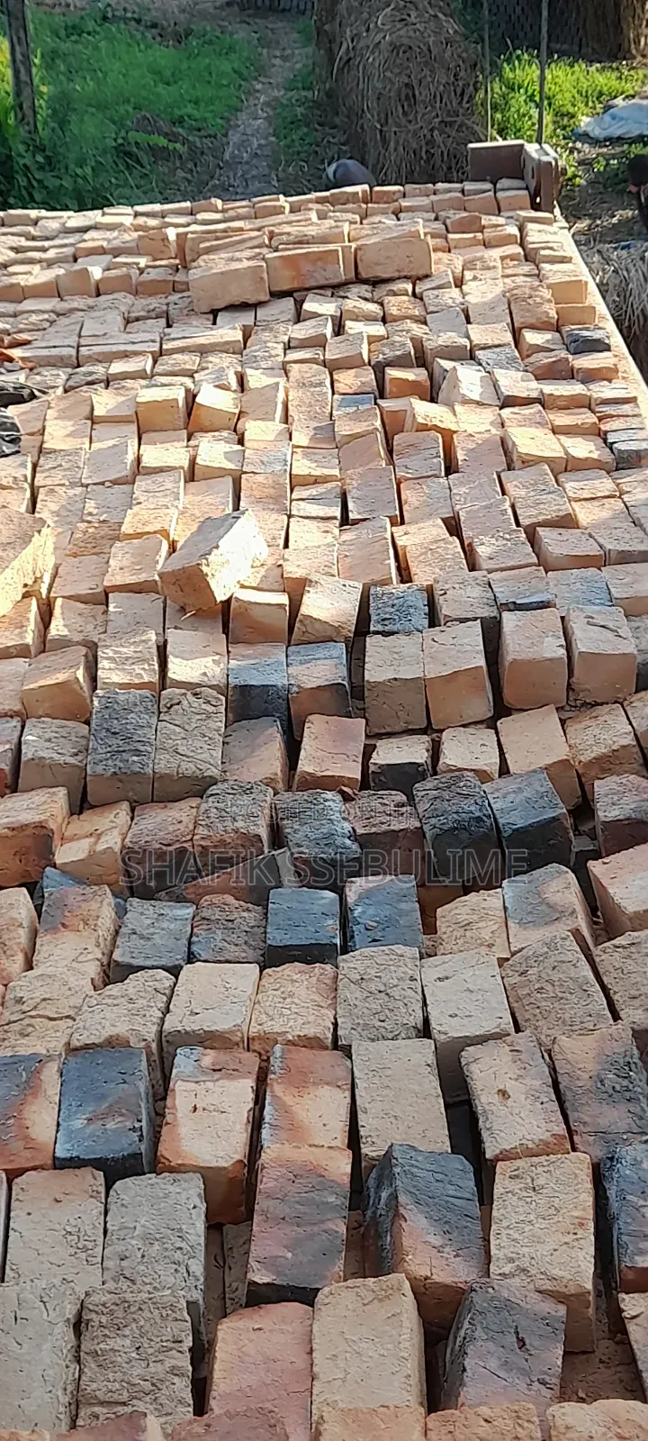 Amatafali Ge Bumba Amalungi