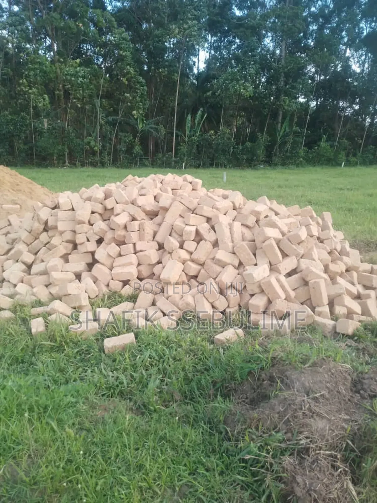 Amatafali Ge Bumba Amalungi