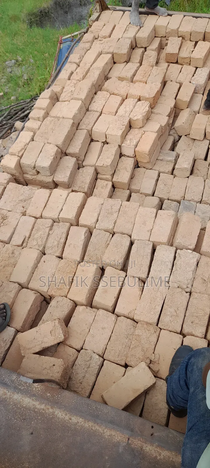 Amatafali Ge Bumba Amalungi