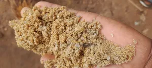 Omusenyu Oguzimba