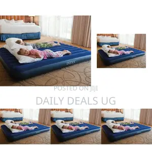 Intex Air Mattress